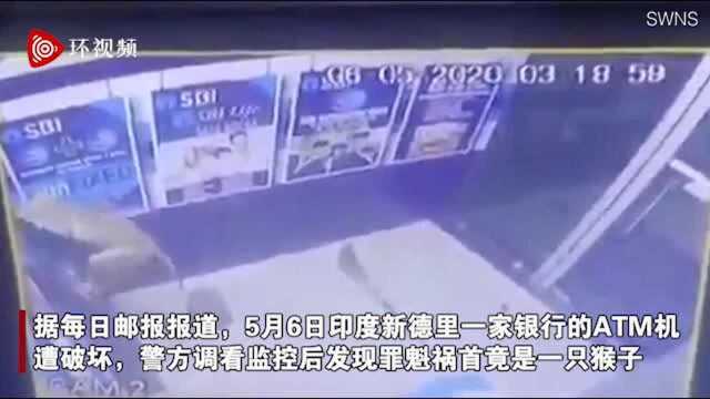 印度一家银行ATM遭破坏⠧𝪩큧帩斧럦˜露€只猴