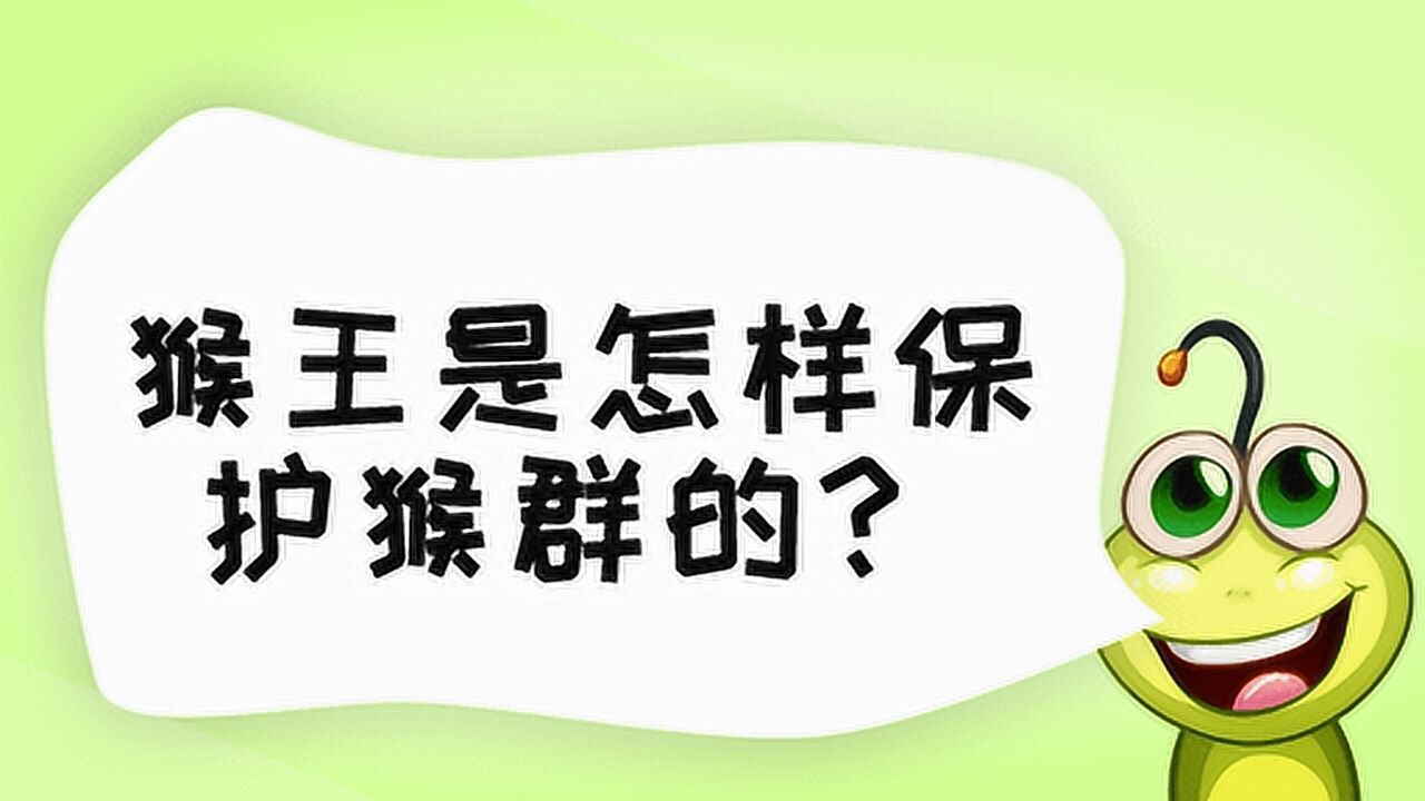 猴王是怎样保护猴群的?