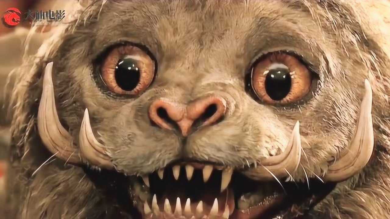 神奇动物在哪里:看似凶狠的怪兽其实也有可爱的一面,这只大猫真萌