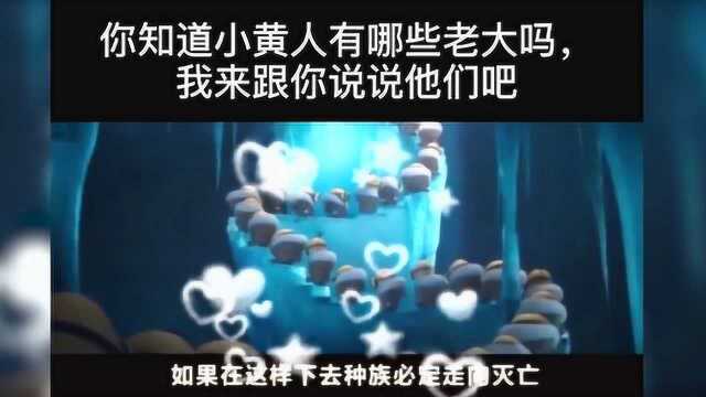 你们看过小黄人吧,那你知道小黄人有哪些老大吗?