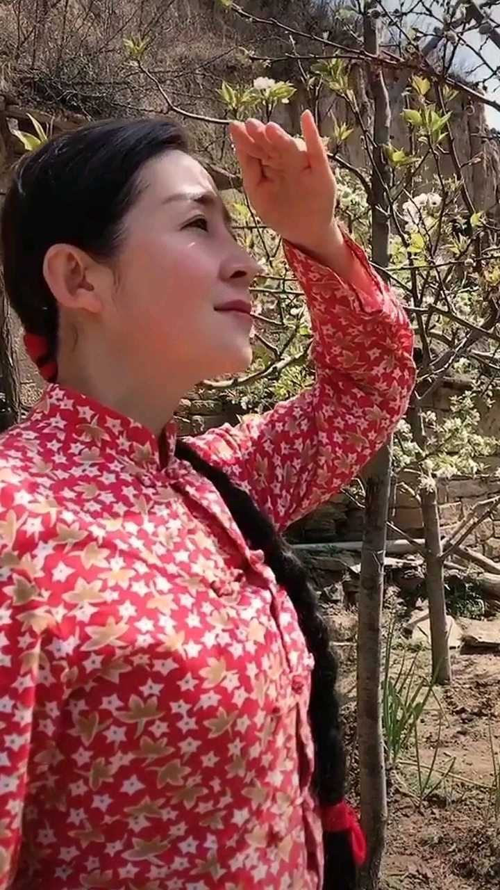 挡不住的思念竖屏mv由延安美女陕北慧儿出演值得一看