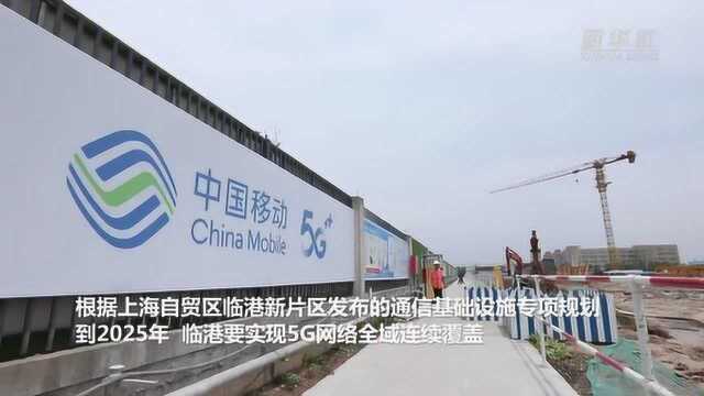 临港新片区:5G应用出彩 网络建设加速