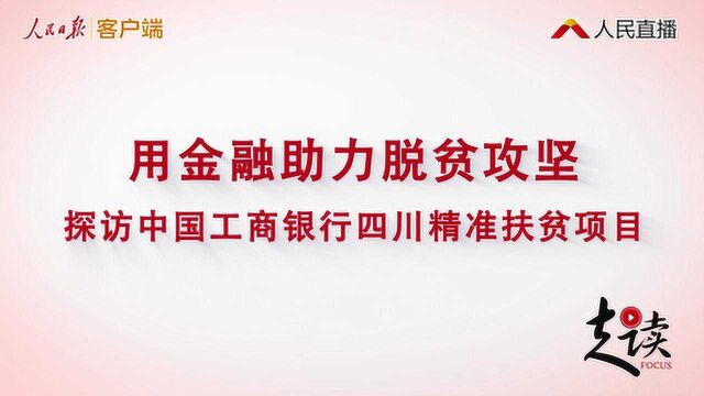 用金融助力脱贫攻坚——探访中国工商银行四川精准扶贫项目