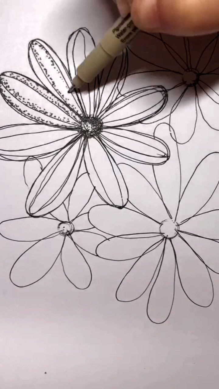 《线描花卉》用点线面画几朵有立体感的花朵,有密集恐惧症勿进!