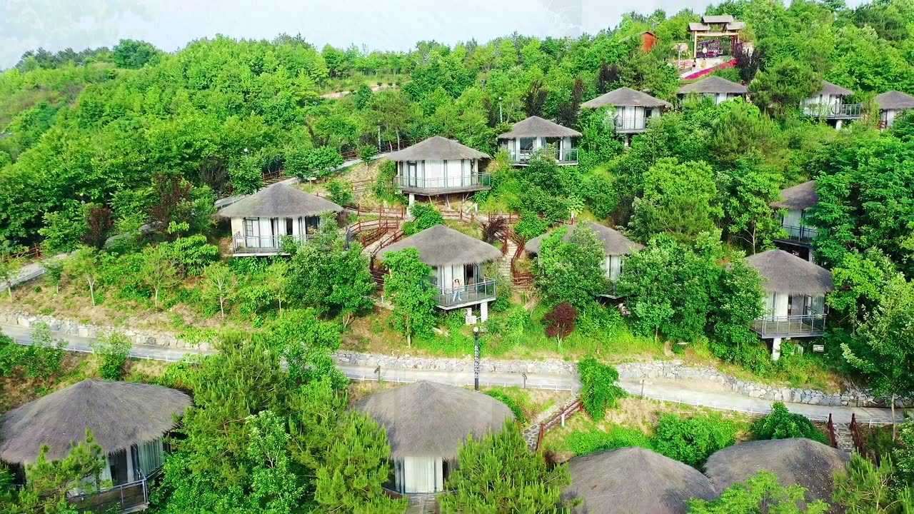 浪漫初夏打卡英山四季花海网红民宿