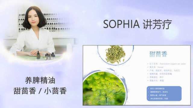 「芳灸儿」导师 SOPHIA讲芳疗21:养脾精油甜茴香和小茴香