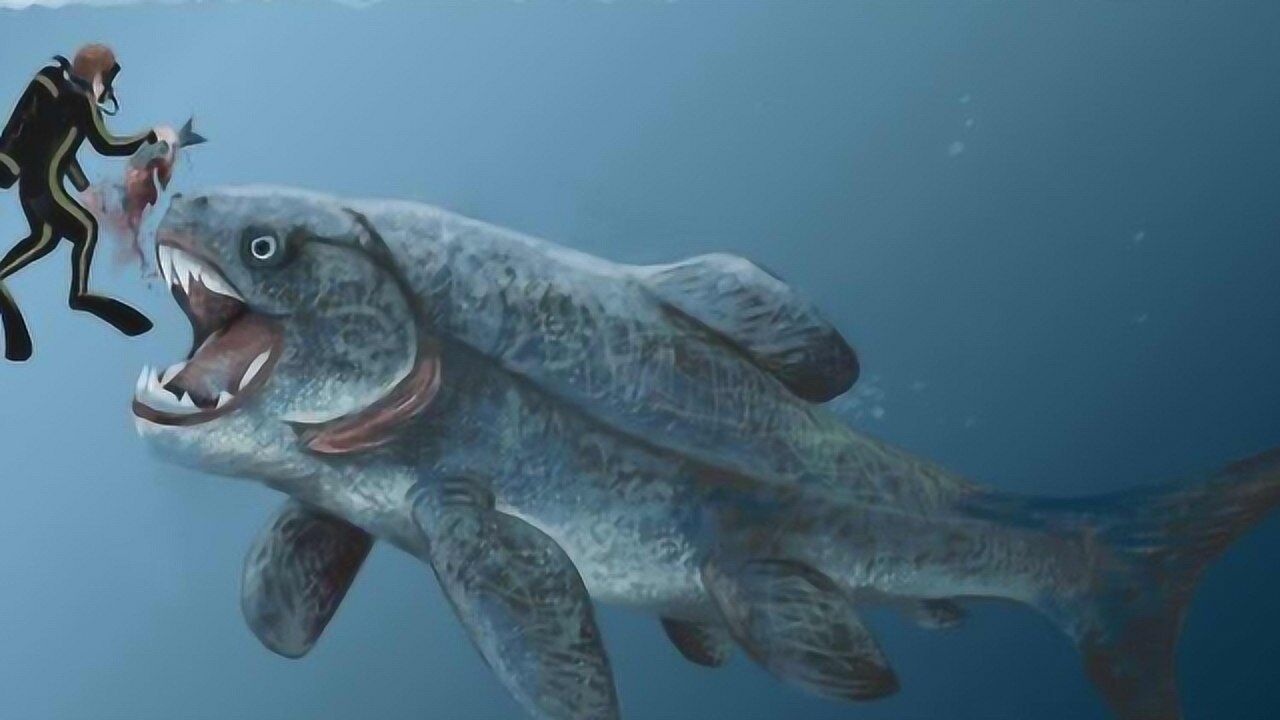 国外发现史前怪鱼!没牙齿就用骨头咬!重达1吨,连鲨鱼和自己族类都吃