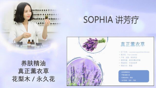 「芳灸儿」SOPHIA讲芳疗49:养肤精油真正薰衣草/花梨木/永久花