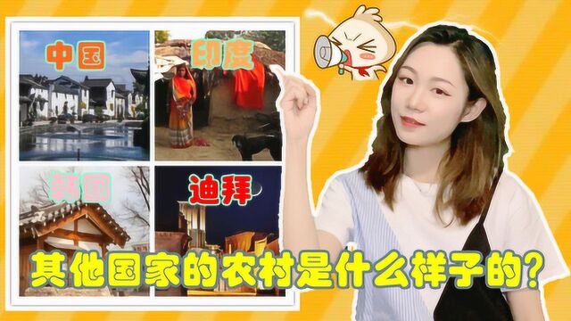 除了我们熟知的中国农村,其他国家的农村又是什么样子的?