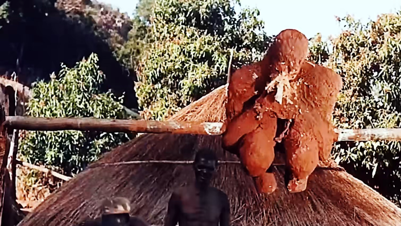 裸杀万里追:大叔偷猎非洲大象,不料被土著当成火鸡烤,这下后悔都来不