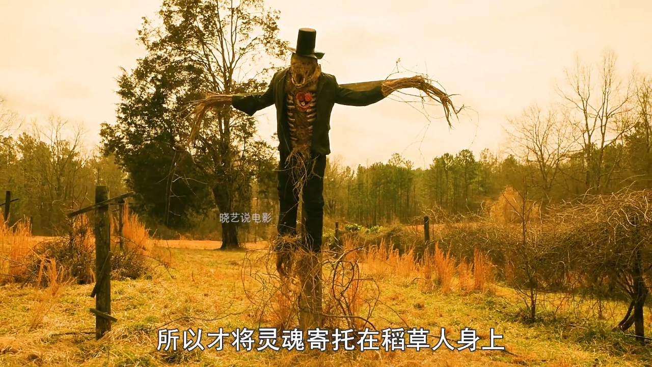 《稻草人》男人竟将亡妻的骸骨制作成稻草人