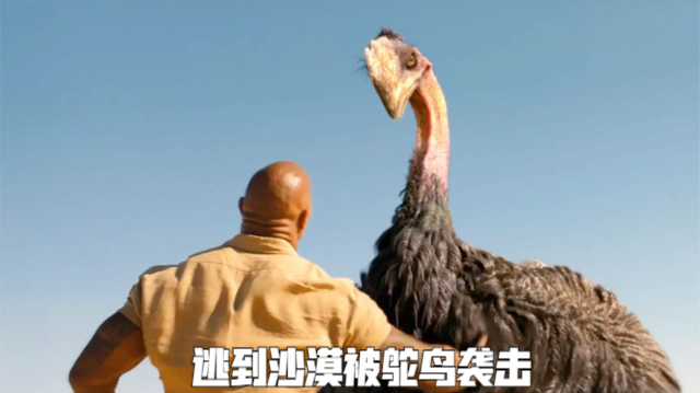 河马张开大嘴突袭人类,巨蟒也想趁机偷袭,逃到沙漠又被鸵鸟袭击