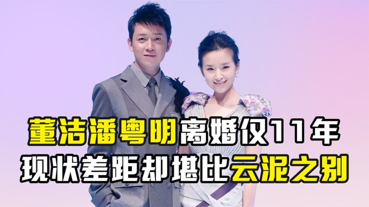 离婚仅仅11年,董洁与潘粤明如今的人生境遇,究竟有何不同