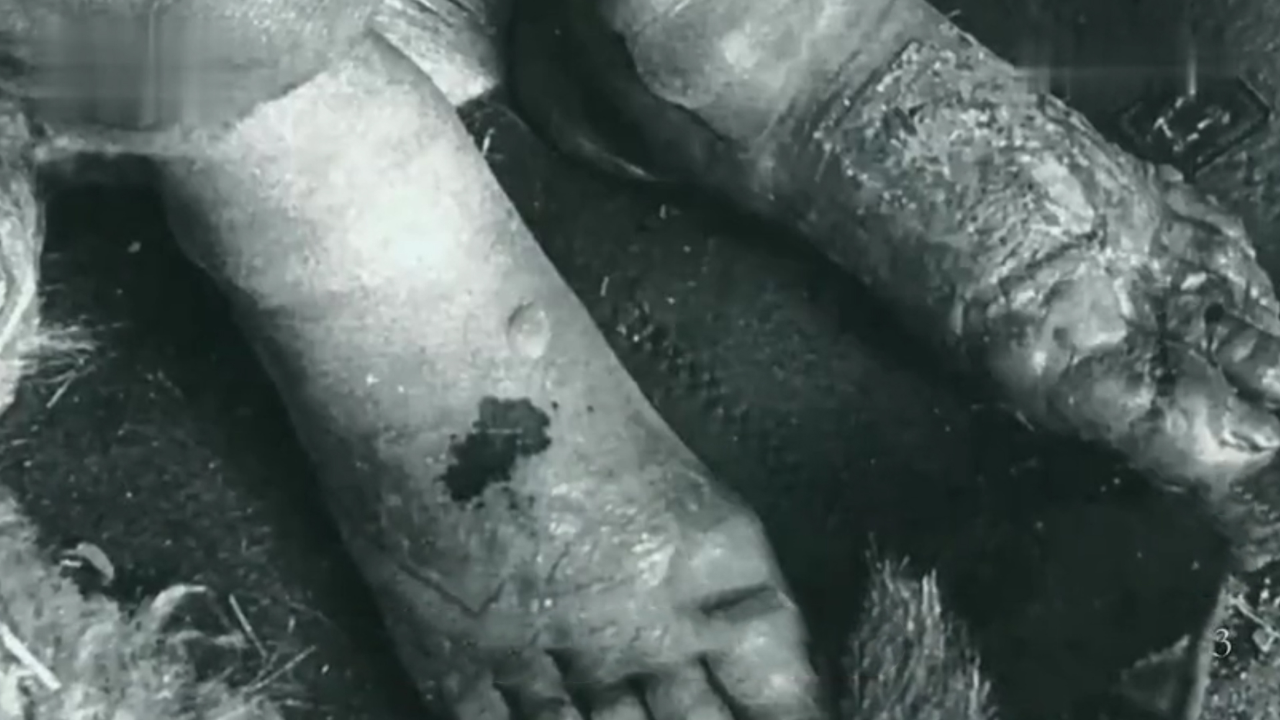 原731部队成员发文揭露侵华日军罪行:历史事实不容掩盖