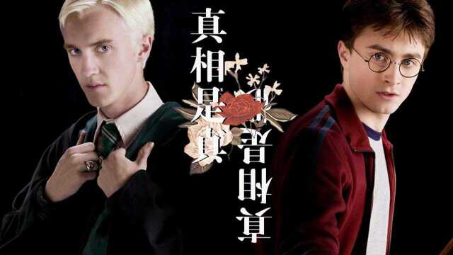 【Drarry/德哈】真相是真真假假丨双声道丨真相是真丨真相是假.