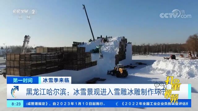 黑龙江哈尔滨:冰雪景观进入雪雕冰雕制作环节