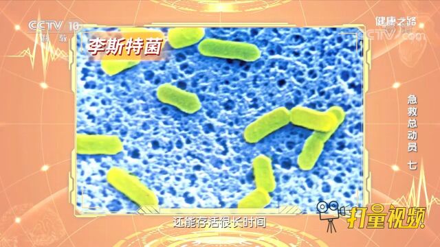 李斯特菌可耐凉、耐冻,即使20℃左右的环境也能存活