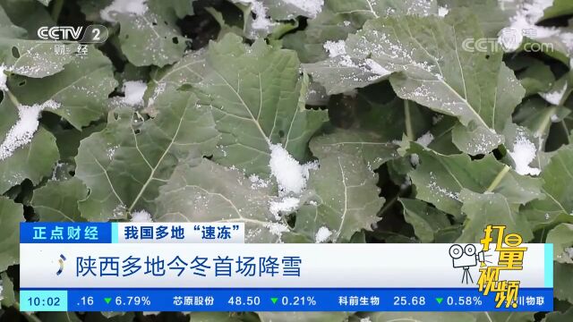 陕西多地今冬首场降雪