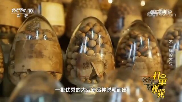 1995年,盖钧镒带领团队完成中国南方大豆遗传与选育