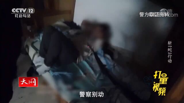 警方想全链条打击,却发现这是个网络!抓获1292人