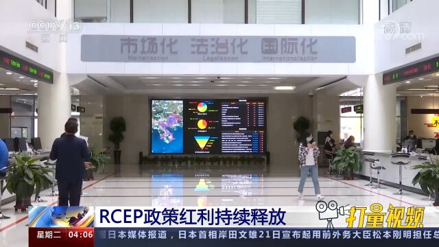 关注!RCEP政策红利持续释放