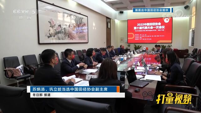 苏炳添、巩立姣当选中国田径协会副主席