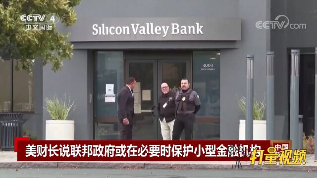 美财长:联邦政府或在必要时保护小型金融机构