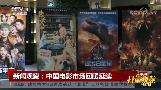 中国电影市场题材丰富,10余部中外影片集中上映