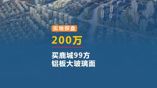 约200万,买鹿城约99方,铝板大玻璃面新房