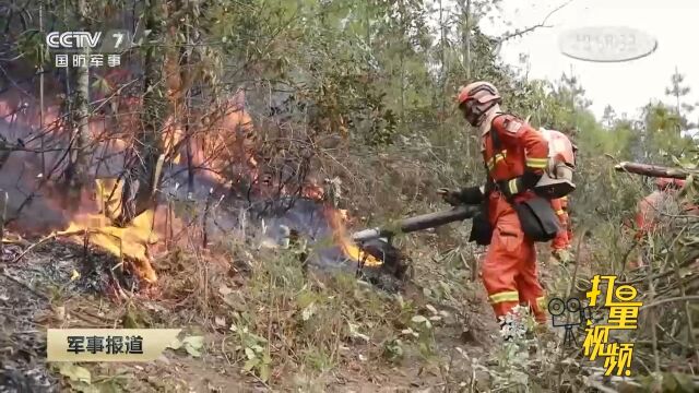 云南丽江突发山林大火,军地联合扑救