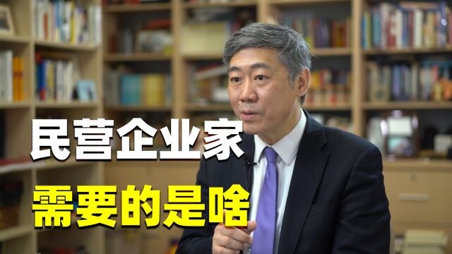 李稻葵:民营企业家要的是平等而不是优待