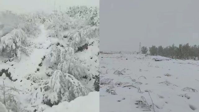 陕西榆林4月下雪,市民:积雪约5厘米,前几天气温近30度