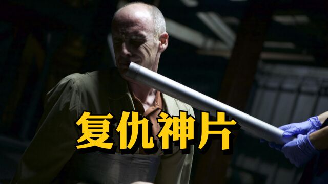 【复仇神片】全球10大虐片之一《我唾弃你的坟墓:复仇在我》