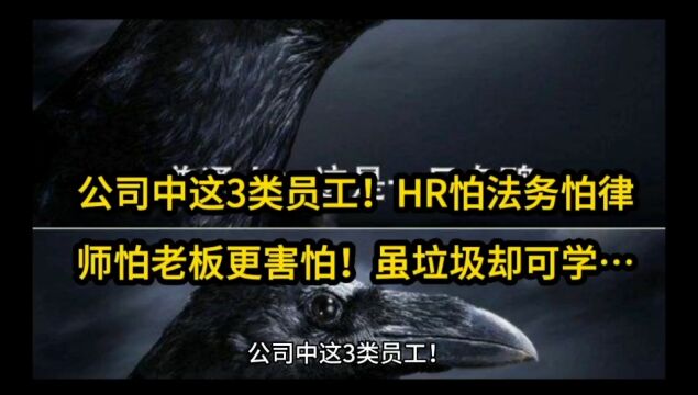 公司中这3类员工!HR怕、法务怕、律师怕、老板更害怕!虽垃圾却可学