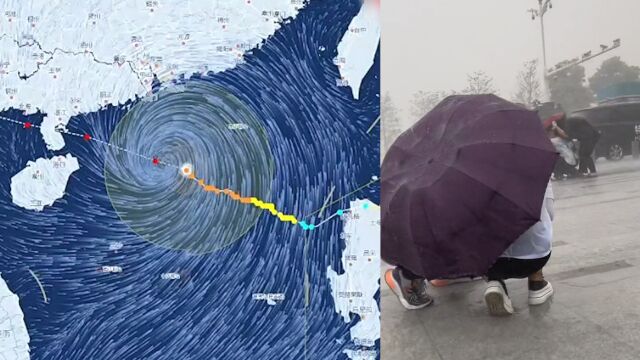 台风泰利来袭 将以15公里每小时速度袭来 多地停运停航 多个景区关闭