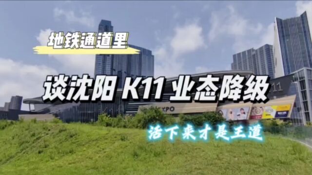 地铁通道里,谈沈阳K11业态降级,活下来才是王道