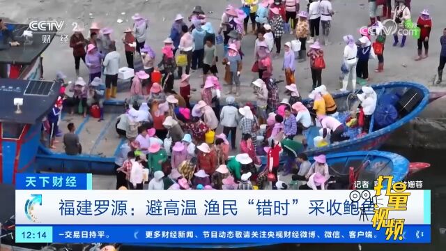 福建罗源:避高温,渔民“错时”采收鲍鱼