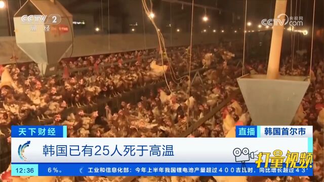 韩国已有25人死于高温,造船厂和汽车厂因酷暑停工