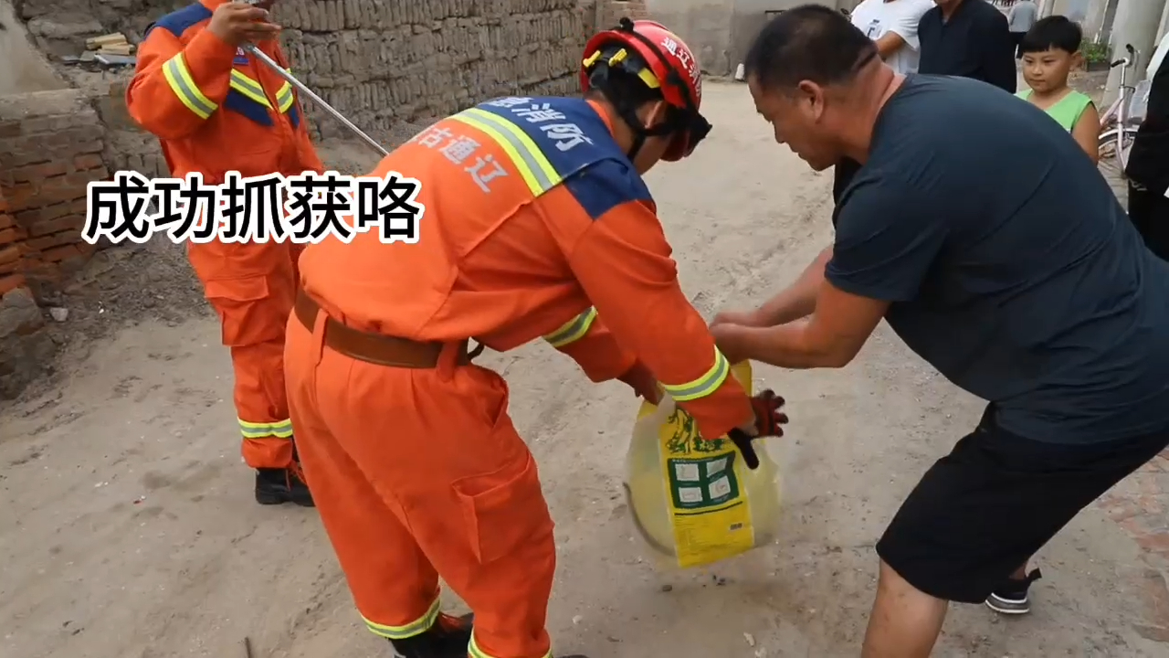 消防员抓蛇解民忧