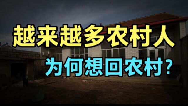 为什么越来越多进城买房的人开始回到农村?花钱多,收入还不见涨 