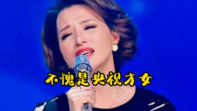 不愧是央视才女董卿演唱这首经典歌曲,歌声婉转悠扬曲调悲情催泪观众被感动