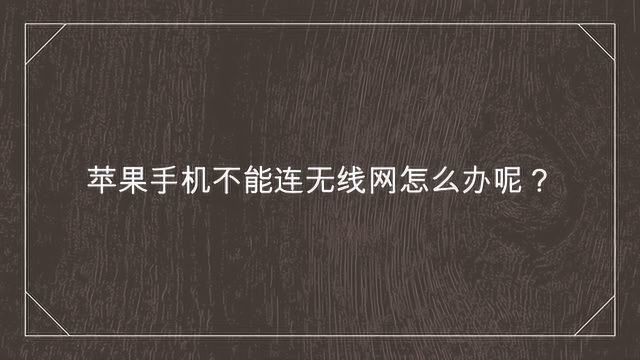 苹果手机不能连无线网怎么办呢?