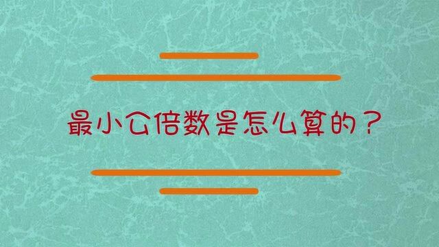 最小公倍数怎么算?