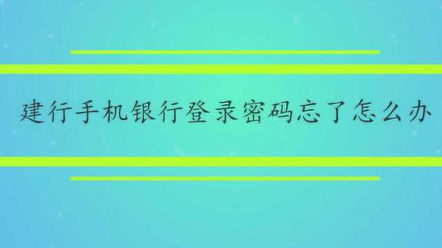 建行手机银行登录密码忘了怎么办