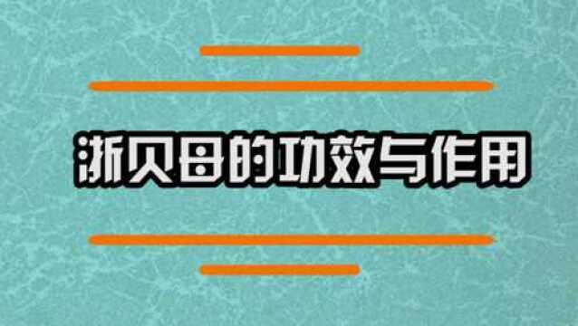 浙贝母的功效与作用有哪些?