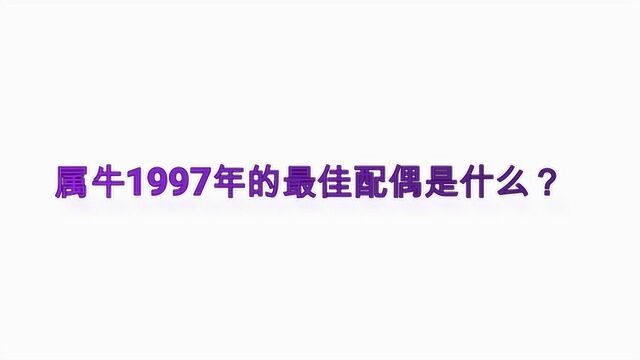 属牛1997年的最佳配偶是什么?