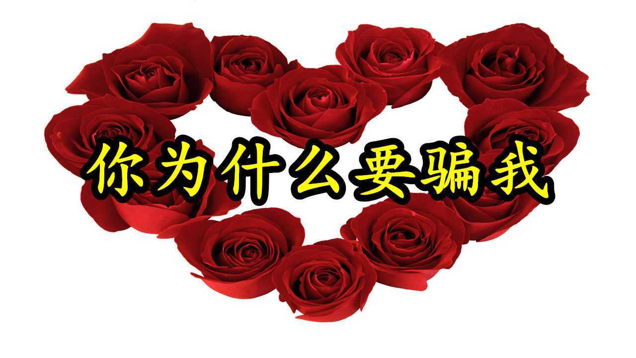 催泪情歌mv《你为什么要骗我》,你说过今生要长相守,太感人了