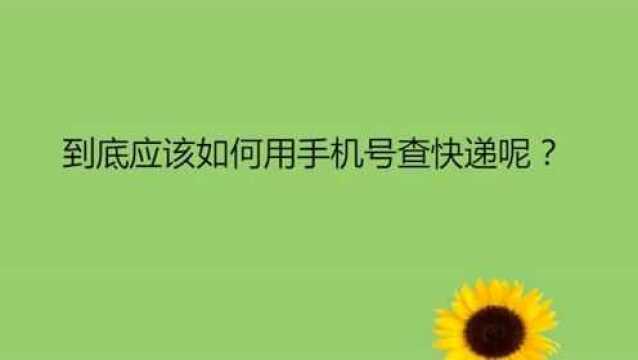 到底应该如何用手机号查快递呢?