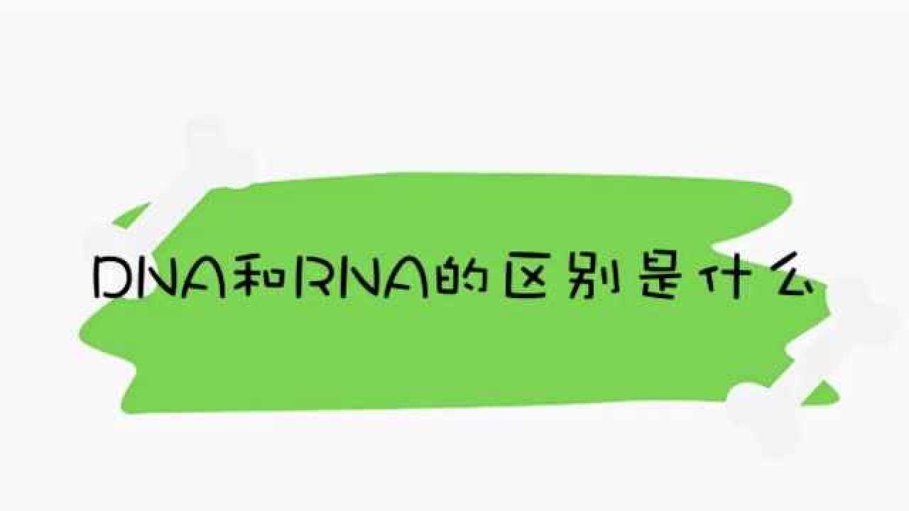 DNA和RNA的区别是什么_腾讯视频