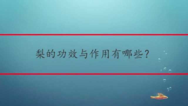 梨的功效与作用有哪些?